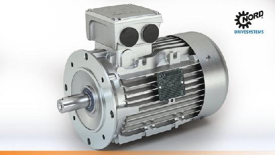 Nord Gear Motor